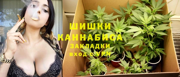 a pvp Пересвет