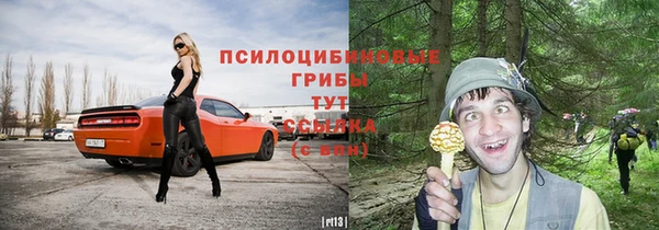 apvp Пестово