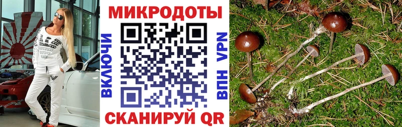 Псилоцибиновые грибы прущие грибы  Купить где  Чухлома 